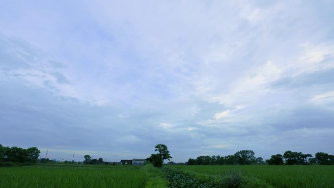 阴天田野上空云朵4K实拍