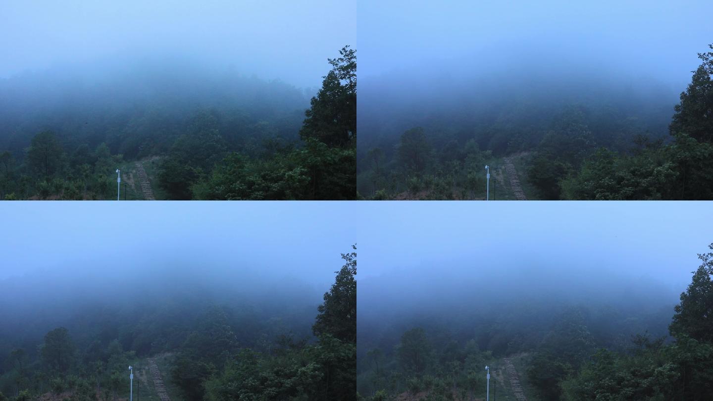 山上流动的晨雾（倍速）01