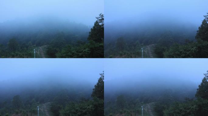 山上流动的晨雾（倍速）01