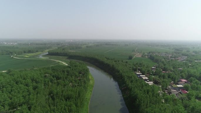 美丽乡村河流田野小麦