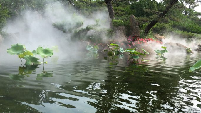 4k罗红摄影艺术馆池塘烟雾缭绕01