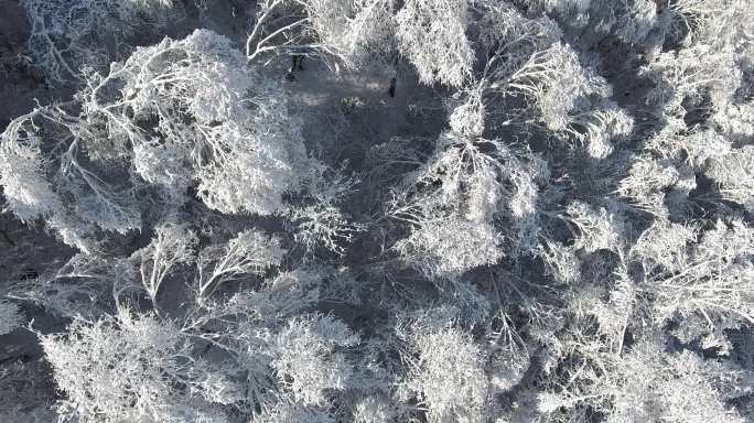 冬奥会崇礼区滑雪场冬季雾凇树挂航拍太舞