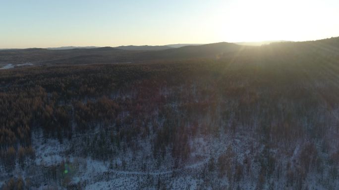 冬季森林升高航拍4K
