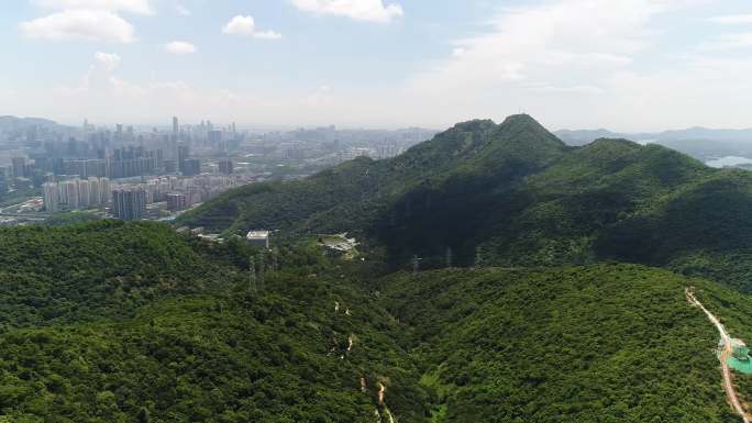 4K航拍风景山森林深圳塘朗山整合版