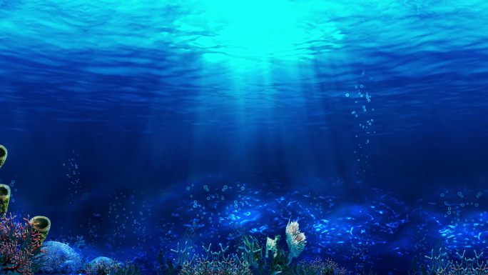 【原创】5款4K循环海底视频