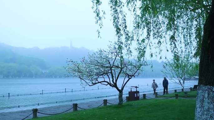 杭州西湖春天里的风景