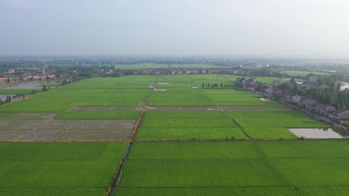 美丽乡村农村航拍4K-02