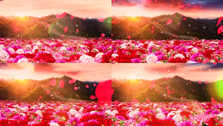 玫瑰花瓣飞舞实拍合成花海背景 19x1080 高清视频素材下载 编号 舞台背景 Vj师网www Vjshi Com 玫瑰花瓣飞舞实拍合成花海背景 19x1080 高清视频素材下载 编号 舞台背景 Vj师网www Vjshi Com