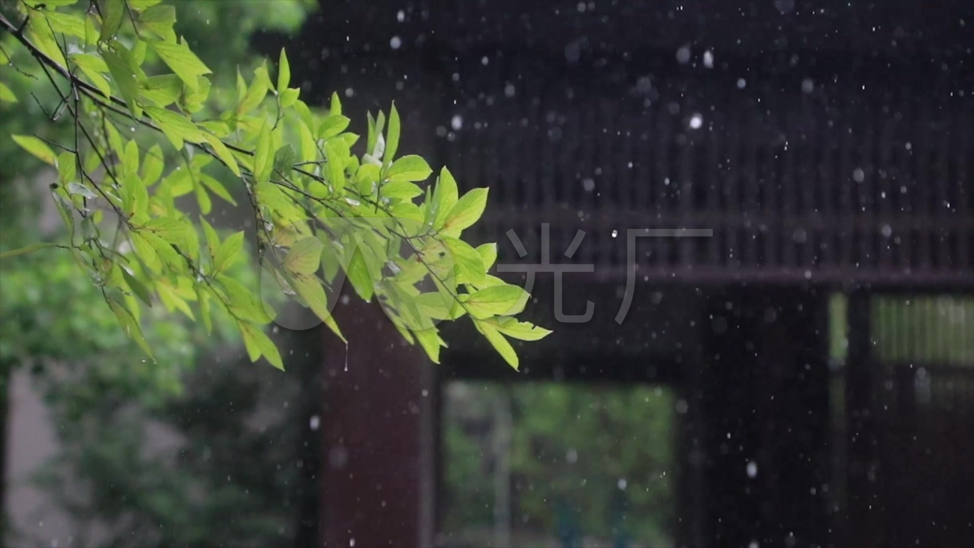 女子倚窗看雨伤感图片,一个人淋雨的凄美图片 - 伤感说说吧