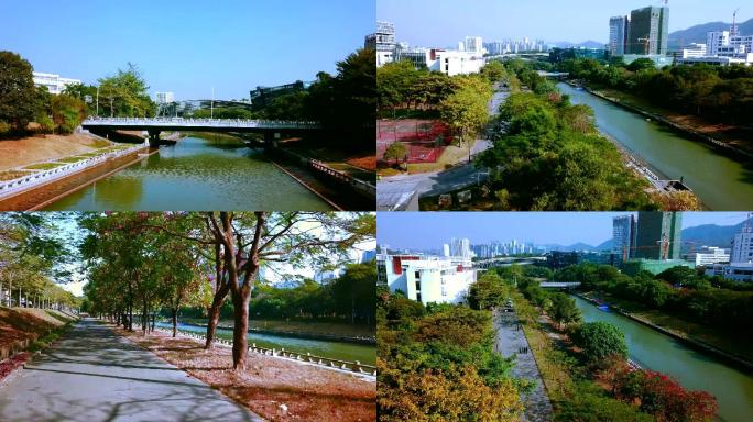城市河岸生态环境