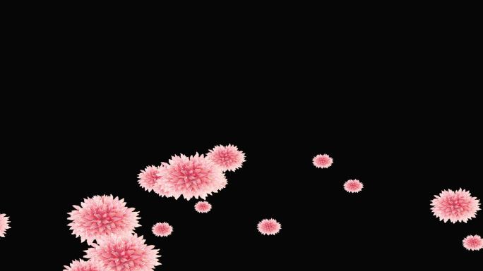 粉色手绘康乃馨花卉无缝循环带通道
