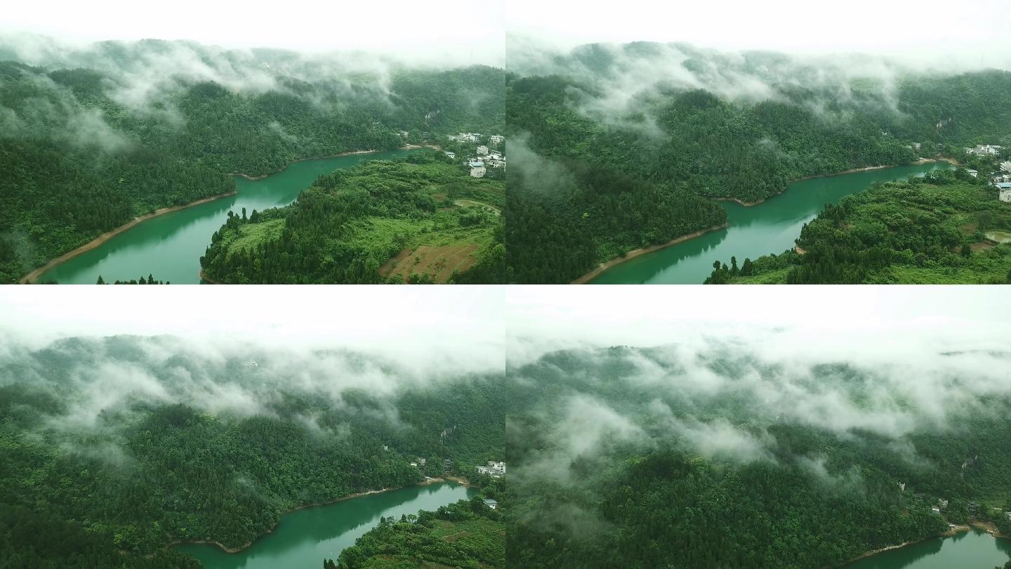 晨雾笼罩、清晨大雾、绿水青山【原创拍摄】