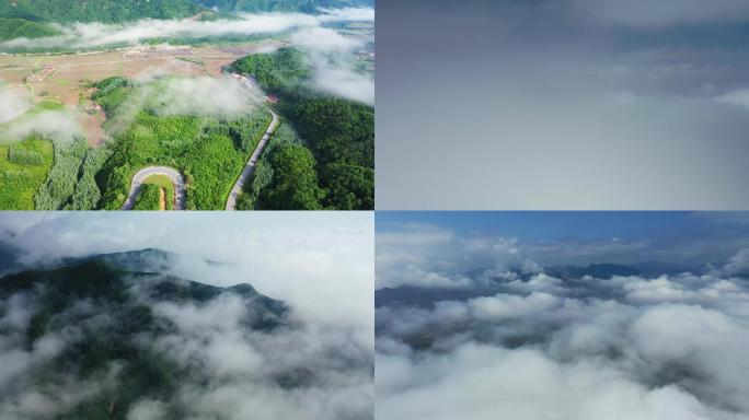 蓝天白云田野公路深林田野