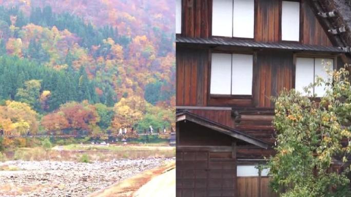 日本白川乡的秋