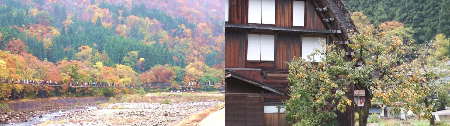 日本白川乡的秋