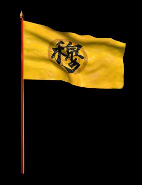 古代战旗穆桂英视频素材