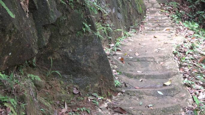 丛林山水瀑布野外实拍102