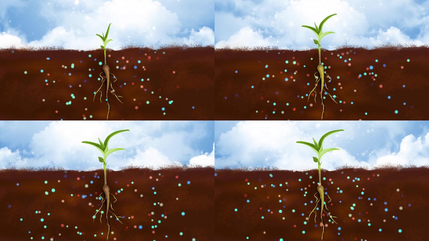 化肥养料促进植物土壤吸收生长