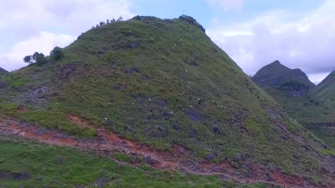 航拍大石山里半山腰上的山羊吃草