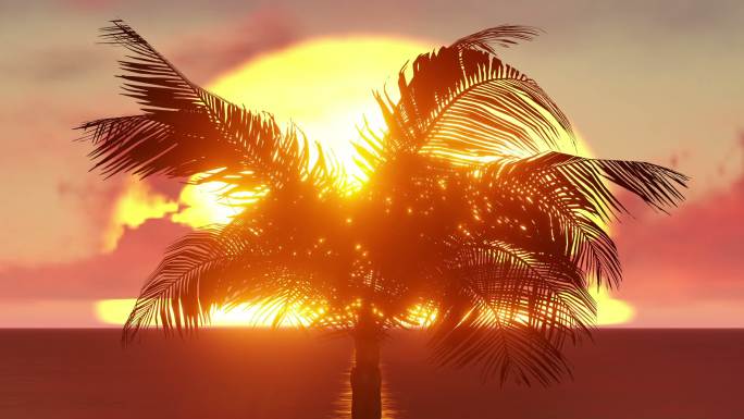 夕阳下的芭蕉树海边沙滩日落