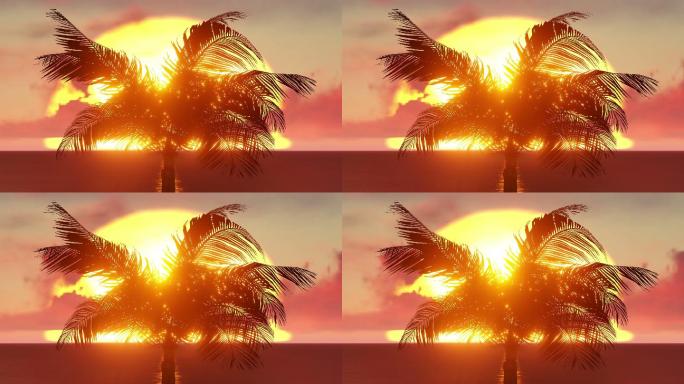 夕阳下的芭蕉树海边沙滩日落