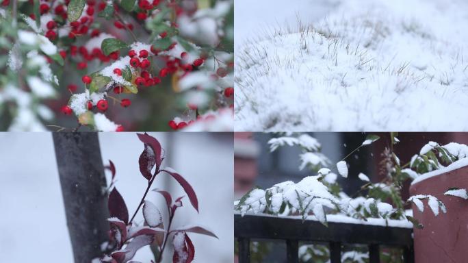 【高清视频】冬天雪景下雪