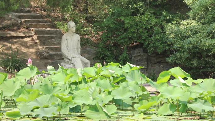 清华大学荷花池