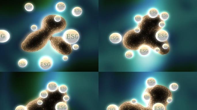 ESG细胞融合细菌融合细菌细菌分裂细菌