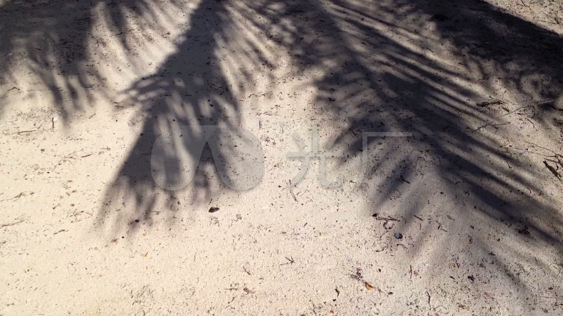 椰子树影子_1920x1080_高清视频素材下载(编号:3640086)_实拍视频_vj