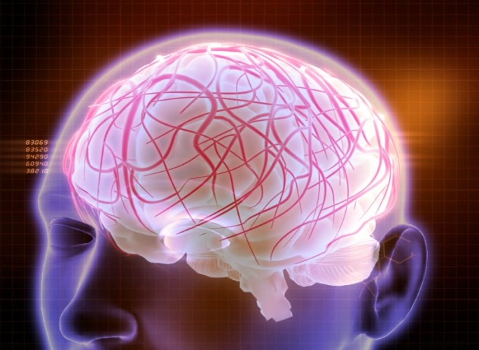 头大脑脑神经医学脑展示脑动画
