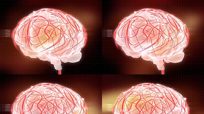 大脑脑神经医学脑展示脑动画