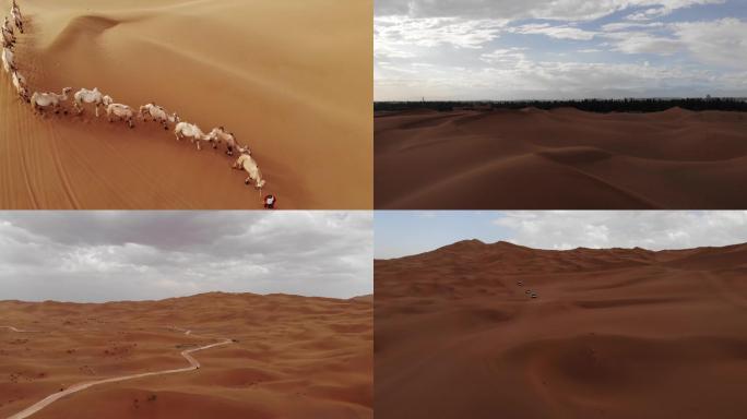 沙漠上的骆驼4K宣传片素材大气宏伟