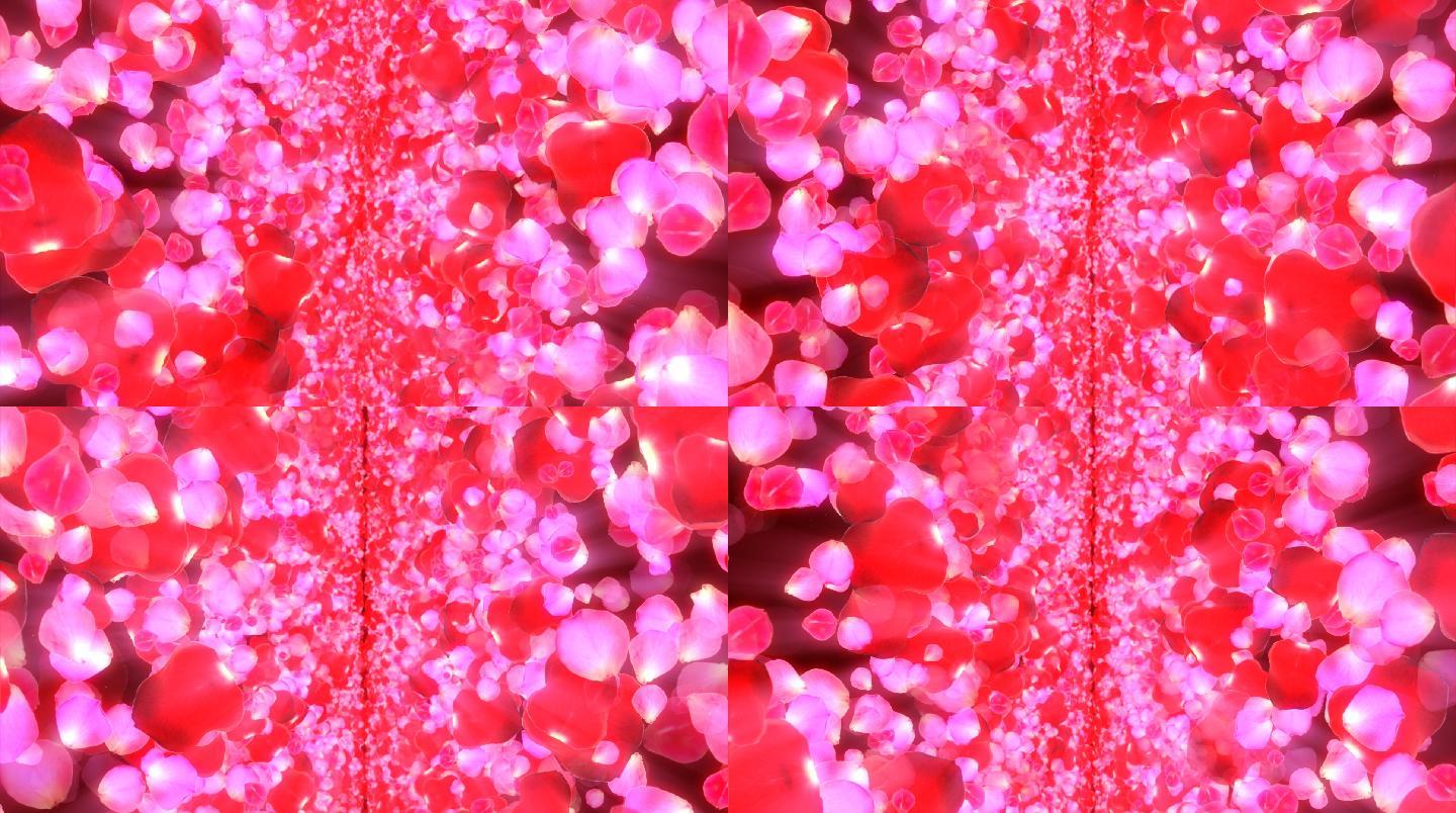 透明通道玫瑰鲜花背景视频素材