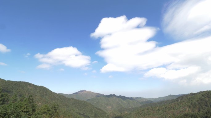 原创正版4K永州双牌阳明山生态树林