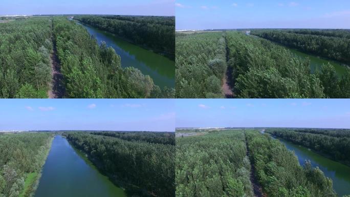 4K航拍蓝天下河流树林