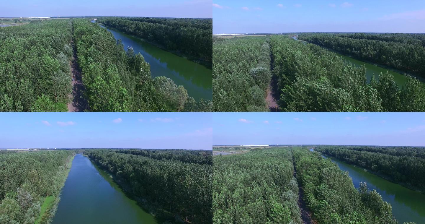 4K航拍蓝天下河流树林