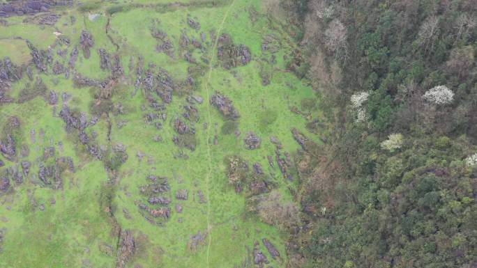 贵州喀斯特地形山冲石林