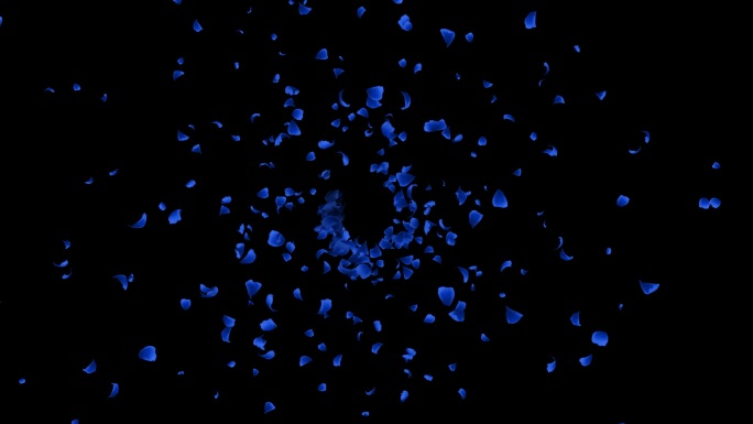 蓝色玫瑰花瓣粒子动画
