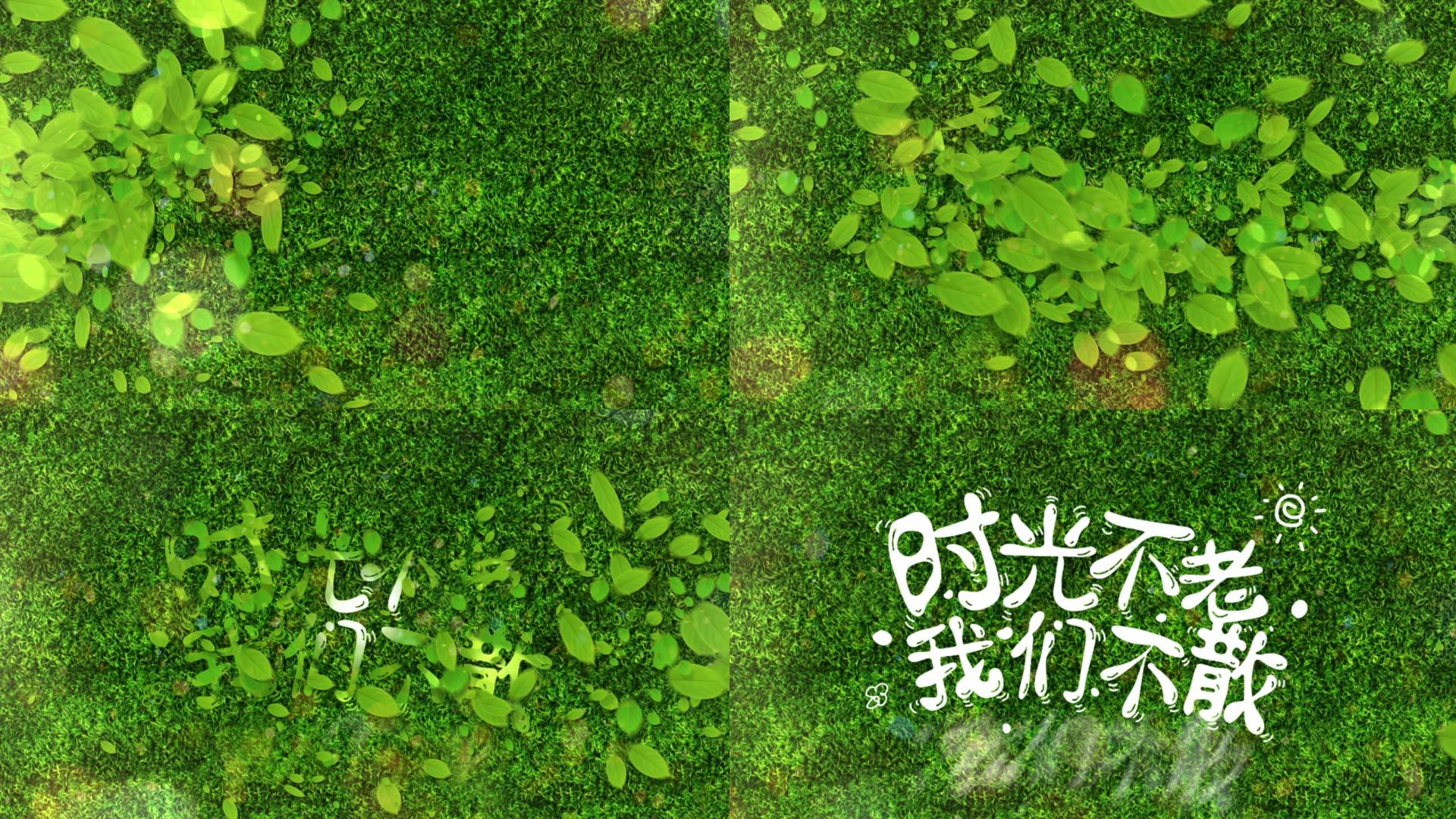 毕业季绿色青春定版片尾标题字幕AE模板