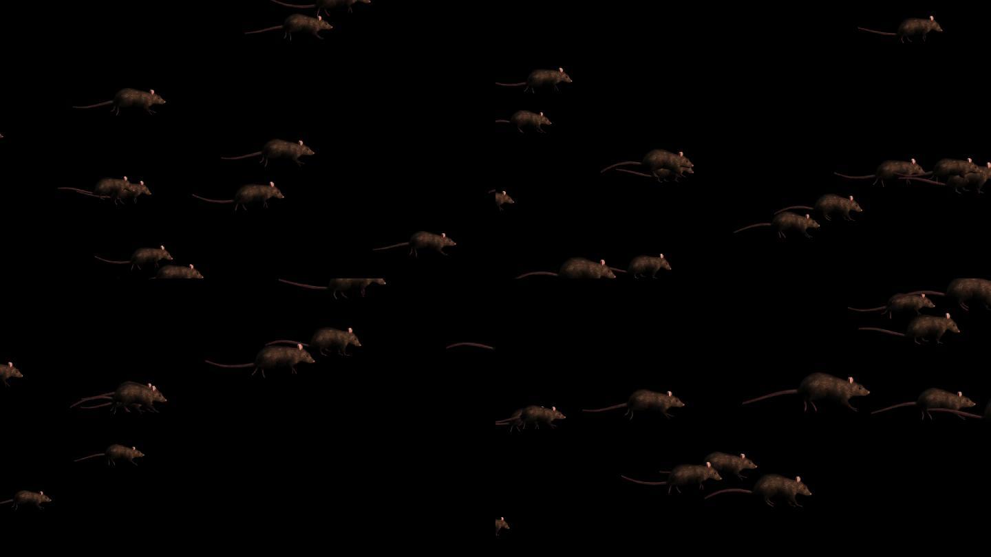 【带通道】一群老鼠奔跑1