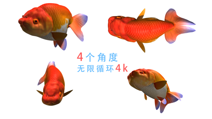 金鱼动画（06）-alpha无缝循环