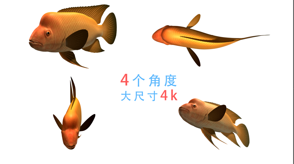 鱼游动动画（04）-alpha无缝循环