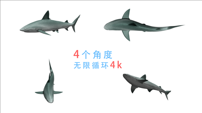 鲨鱼游动动画（07）-alpha无缝循环