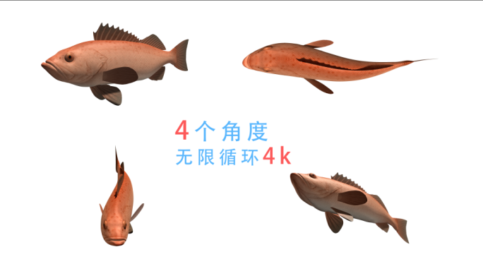 鱼游动动画（12）-alpha无缝循环