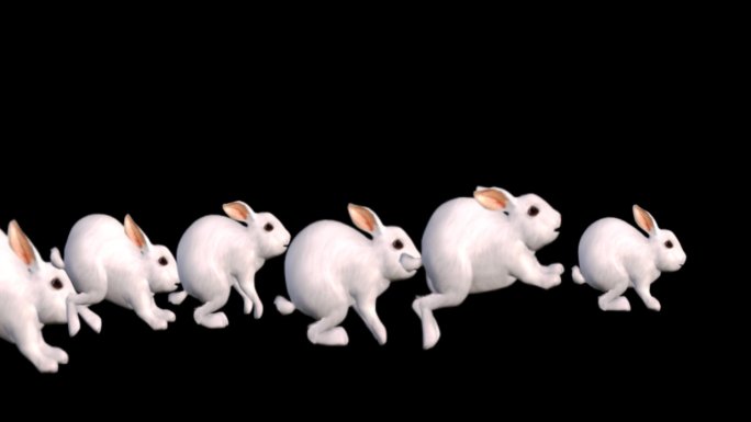 【带通道】一群小白兔1