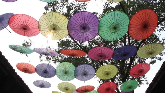 安仁--花伞