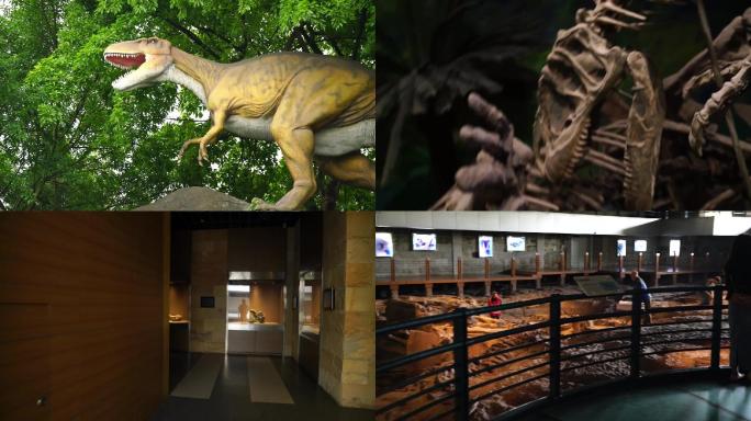 2019恐龙博物馆素材