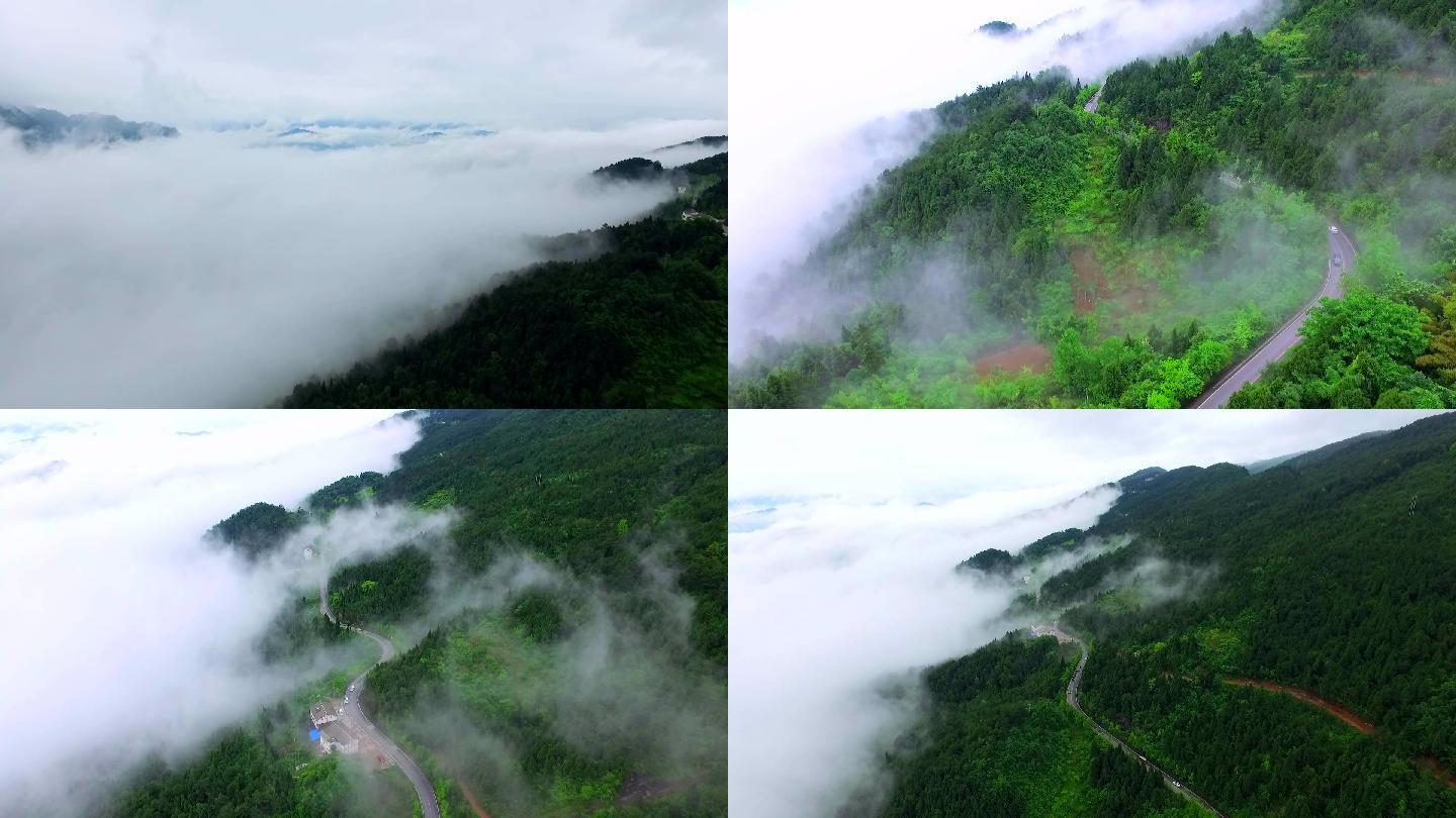 大山山路蜿蜒山路云雾仙境