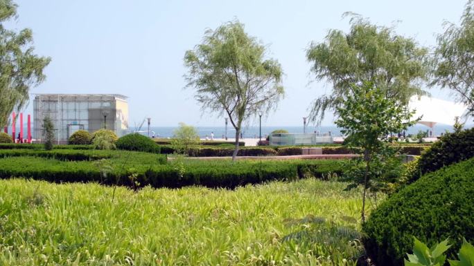 滨海旅游景点广场雕塑景观植物和柳树