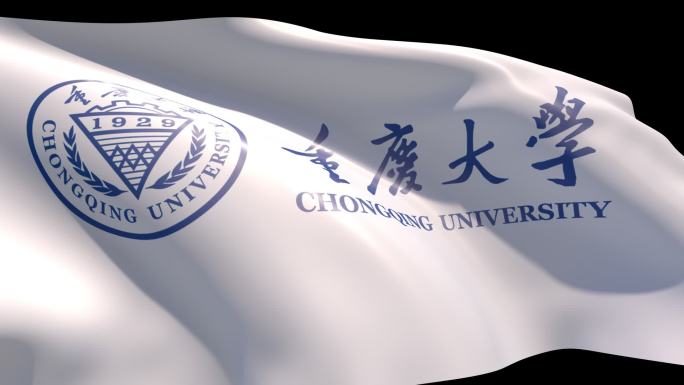 重庆大学旗帜带通道